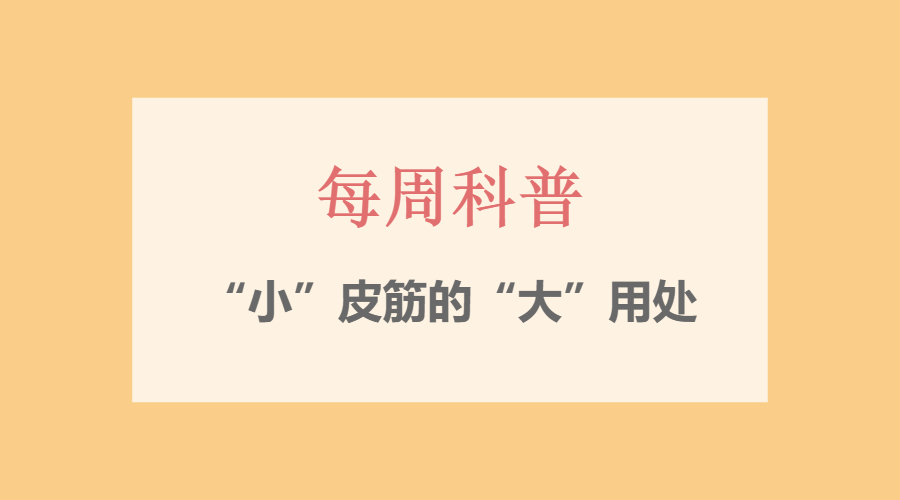 【每周科普】&ldquo;小&rdquo;皮筋的&ldquo;大&rdquo;用处