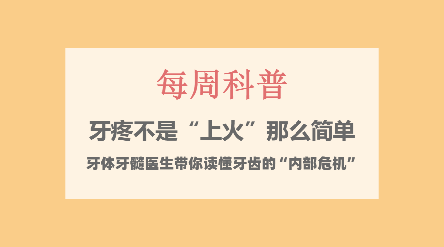 【每周科普】牙疼不是&ldquo;上火&rdquo;那么简单！牙体牙髓医生带你读懂牙齿的&ldquo;内部危机&rdquo;